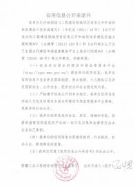 信用信息公开承诺书